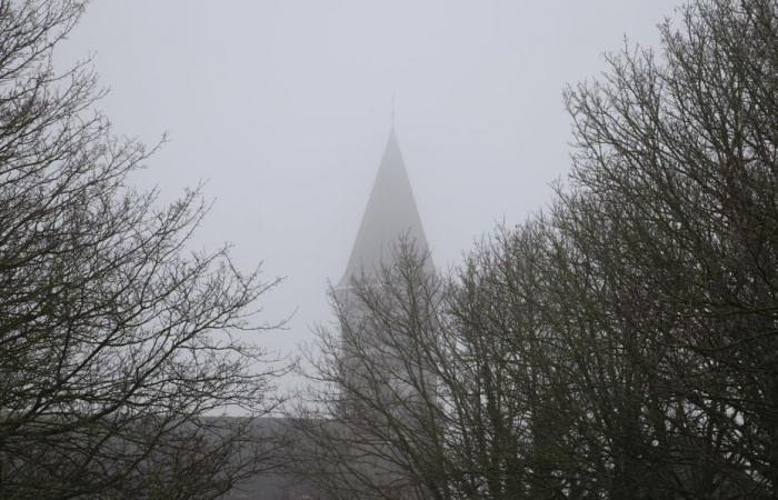 Bulletin météo. Quel temps fait-il ce dimanche 19 janvier dans les Hauts-de-France ?