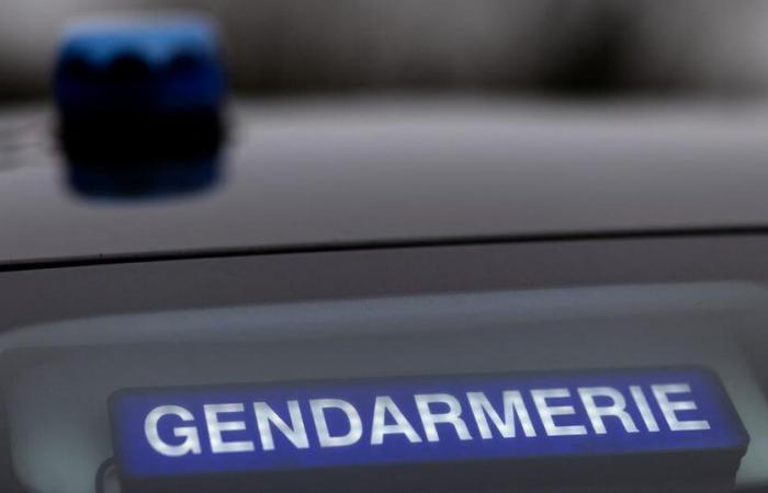 Attaque au couteau contre un joggeur dans le Gard : un suspect interpellé