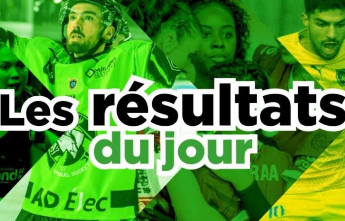 Omnisports. Les résultats sportifs de samedi dans les Vosges