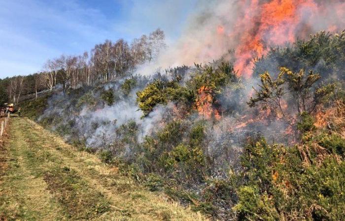 Un hectare de plants part en fumée au bord de la route à Cos en Ariège