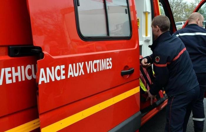 Un arbre lui tombe dessus, un sexagénaire décède en Loire-Atlantique