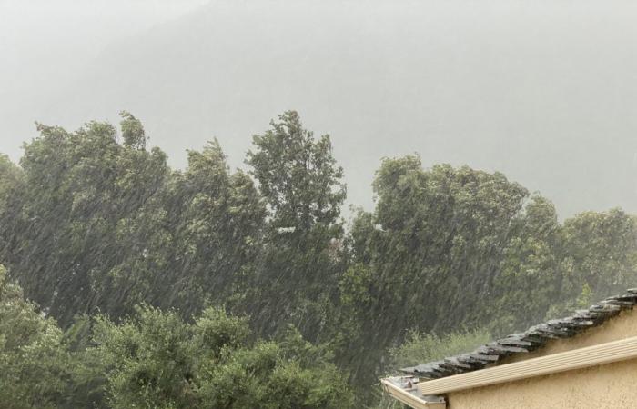 la dépression de Gabri moins forte que prévu, selon Météo-France