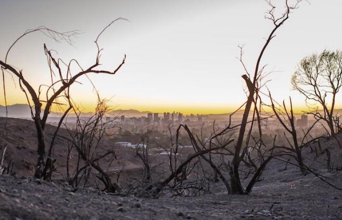 Les incendies en Californie repoussent encore les limites de l’adaptation au climat