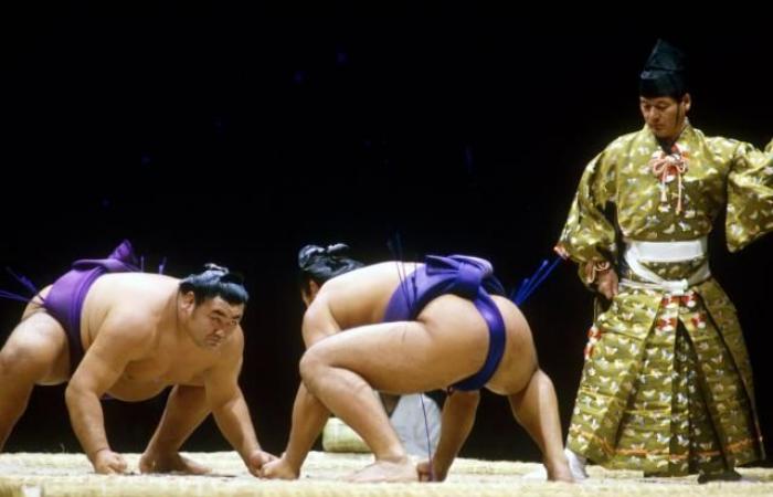 Sumo revient à l’Accor Arena en 2026