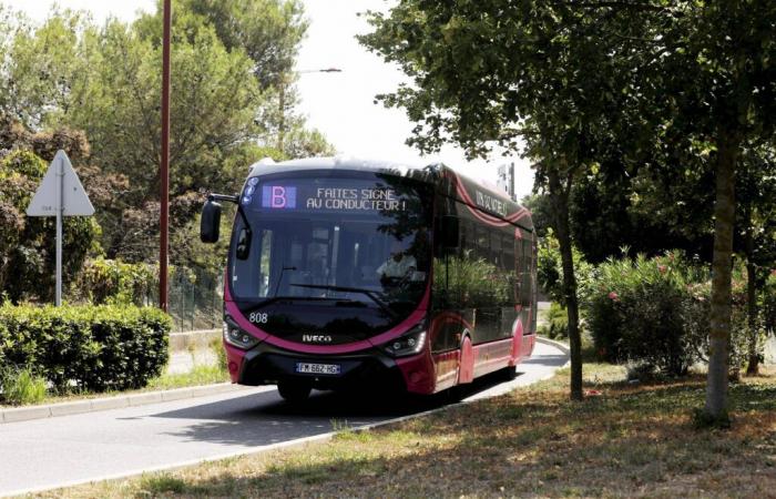 Les transports en commun seront-ils un jour gratuits dans ces communes de l’ouest de la Riviera ?