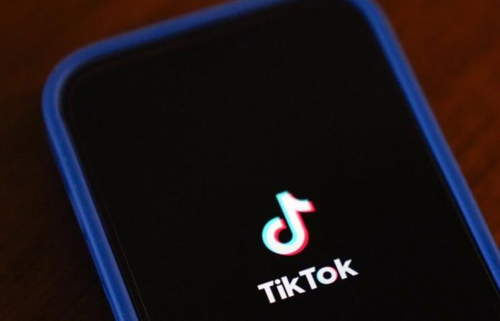 TikTok est de nouveau en ligne aux États-Unis, suite à la promesse de Trump de suspendre l’interdiction : NPR