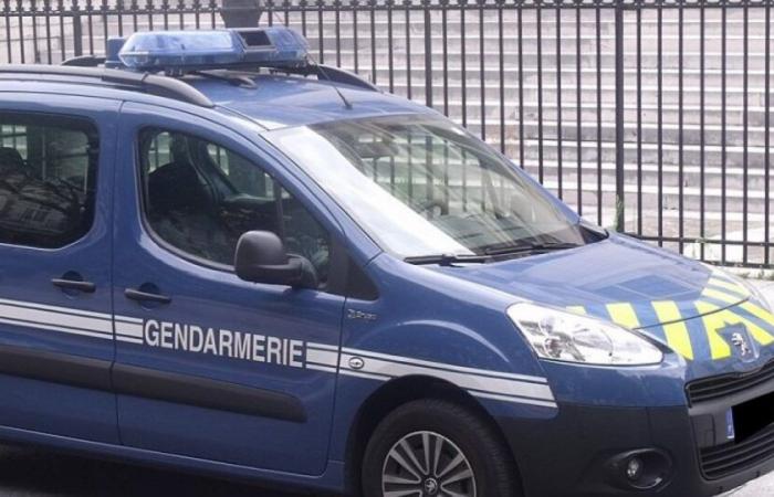 un homme placé en garde à vue après l’agression d’un joggeur près de Nîmes : Actualités