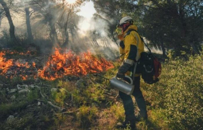 Dans l’Aude, les pompiers utilisent le feu en hiver pour limiter les incendies en été : Actualités