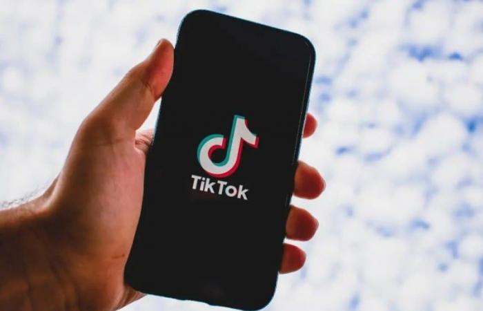 Tiktok inaccessible aux Etats-Unis en attendant l’investiture de Trump