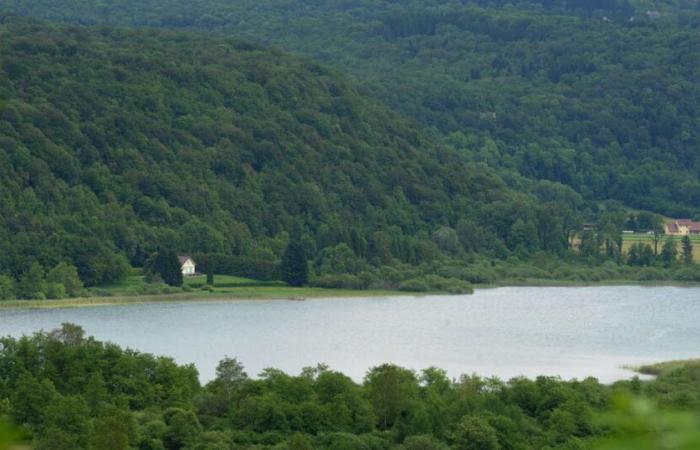 J’ai juré. Chambly, le premier « territoire faunique » du département