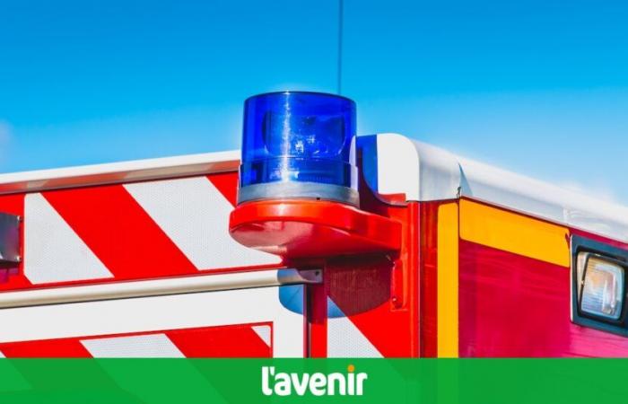 une mère et son fils de 5 ans perdent la vie dans un incendie criminel dans leur appartement