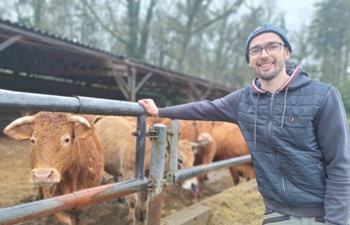 à 26 ans, le fils d’un ancien candidat d’Amour est dans le pré, est enfin agriculteur