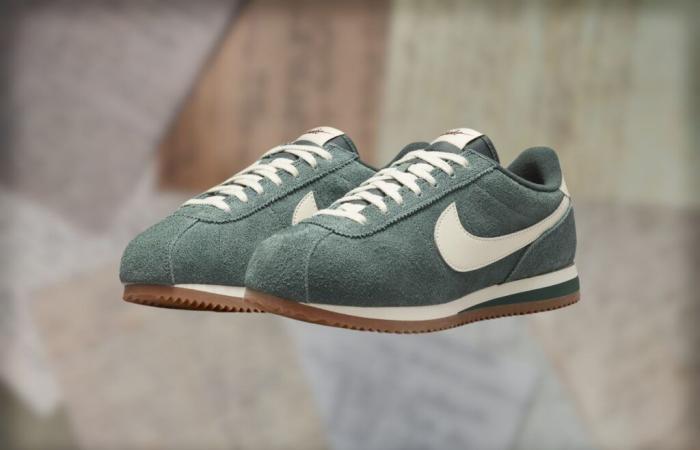 les Nike Cortez Vintage Suede sont à 30% de réduction chez Nike