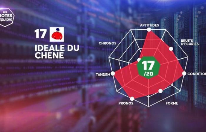 Les Notes des partants du Quinté+ de ce dimanche 19 janvier