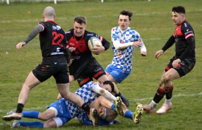 Union de rugby (Fédérale 2). Saverdun bonifie sa belle victoire contre Leucate