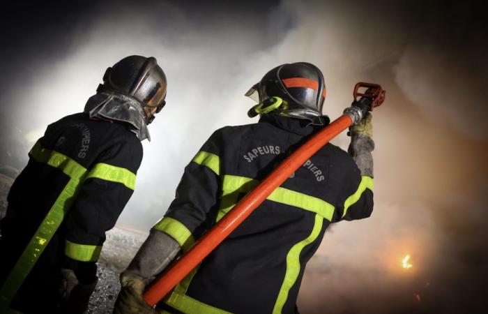 « Odeurs irritantes » dégagées par l’incendie d’une décharge industrielle près de Lyon