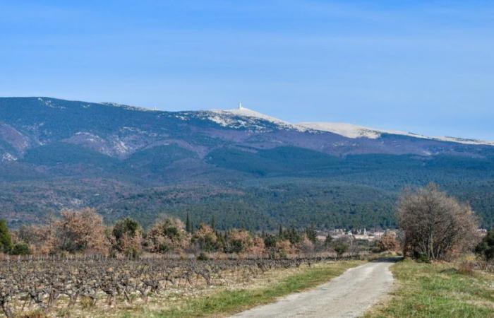 nuages ​​mais douceur, jusqu’à 16°C attendus cette semaine