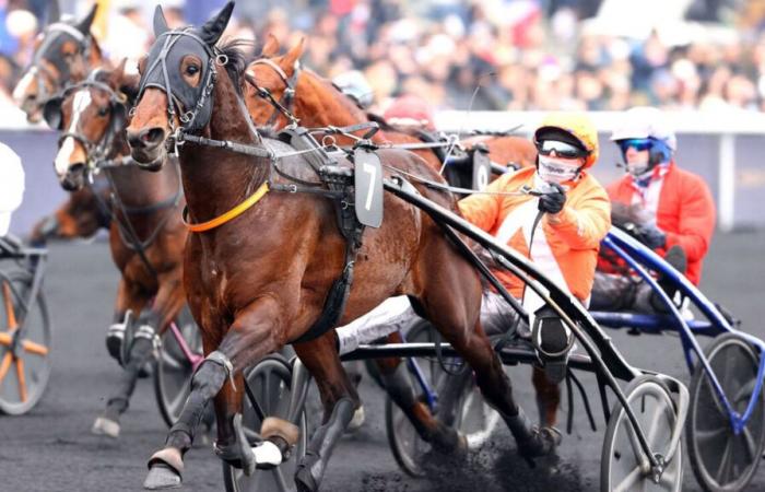 Mystic Sonato en route vers les sommets