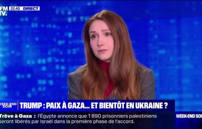 Pour Marianne Babich (Franco-Ukrainienne), les « concessions territoriales » ne feront que « geler » les ambitions russes « pendant un certain temps »