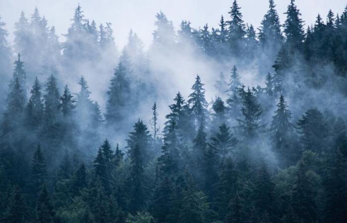 le froid persiste lundi, pluie et vent à partir de mercredi