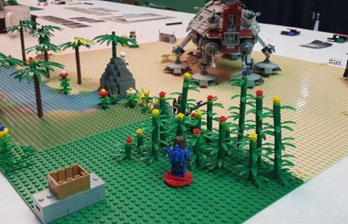 pour sa première journée portes ouvertes depuis 43 ans, elle invite le créateur de Bricks Wargame