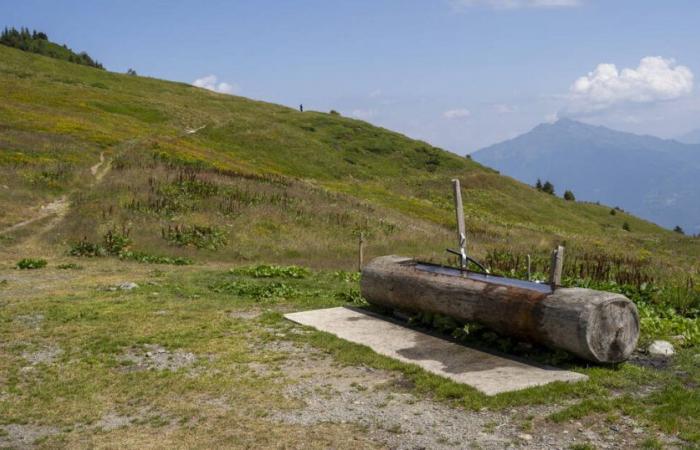 Pourquoi la consommation d’eau risque de doubler d’ici 2050 en France – Libération