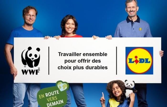 le WWF, Lidl réaffirme son engagement en faveur…