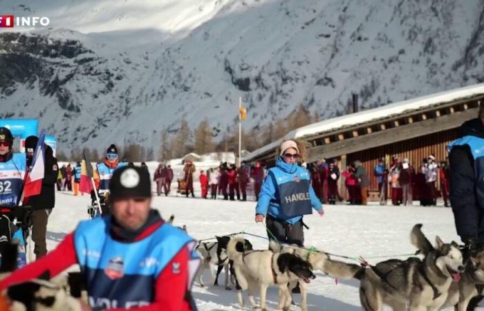 La star de masse de la Grande Odyssée VVF : « C’est un spectacle extraordinaire »