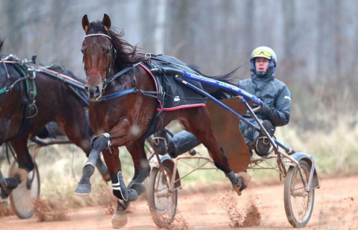 Prix ​​d’Amérique Legend Race 2025: Keep Going is perfect