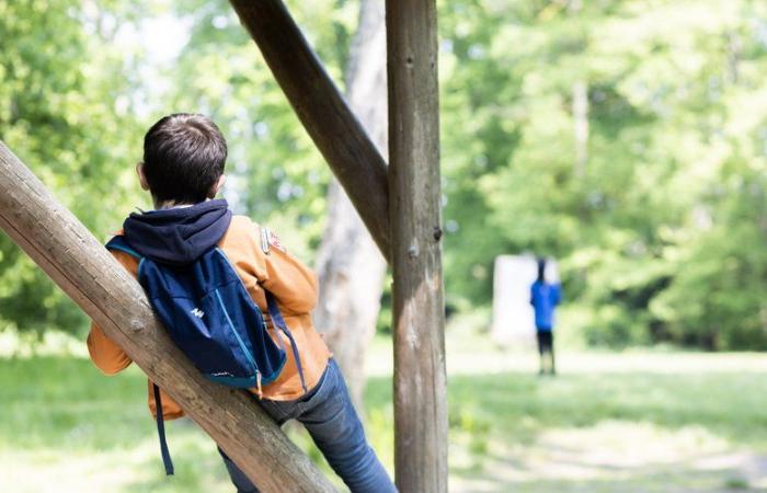 Les Scouts Guides de France recherchent des bénévoles