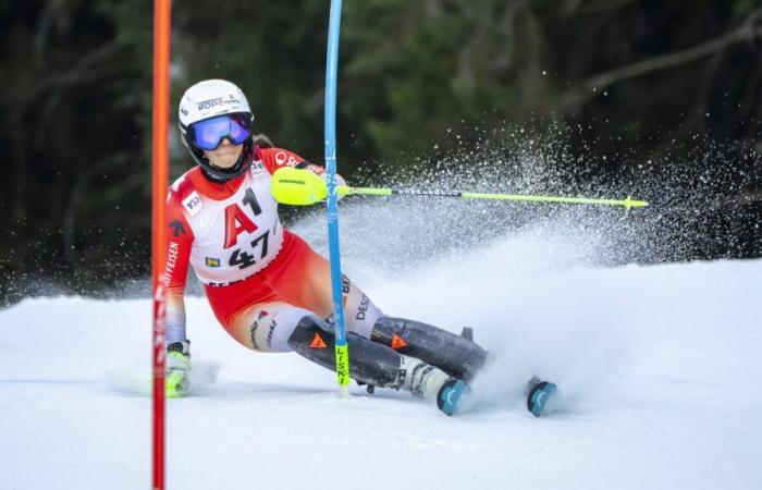 Les cousins ​​d’Andermatt sur le box à Zell am See