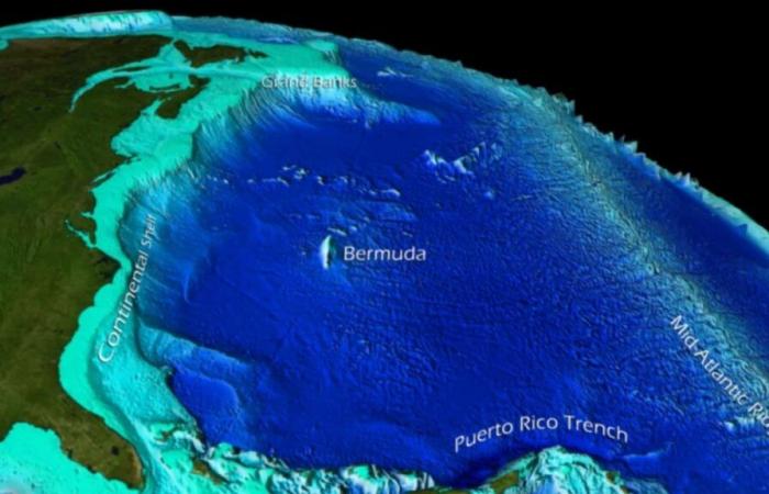 découverte historique sous le Pacifique après 200 millions d’années