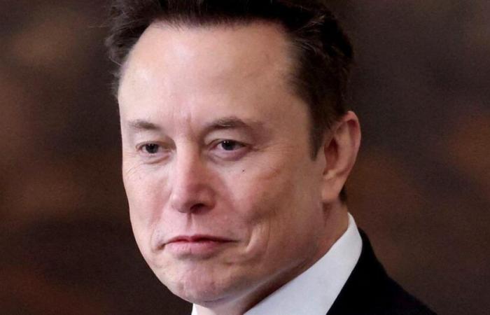 Le département « efficacité gouvernementale » d’Elon Musk contesté devant les tribunaux