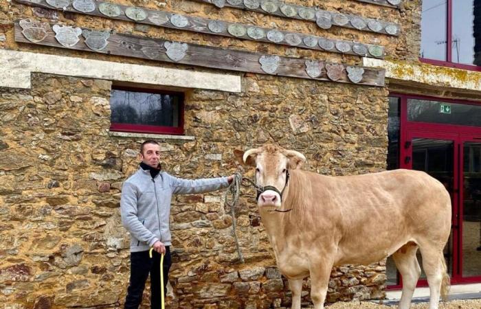 Guillaume et sa vache Reinette iront au Salon de l’Agriculture