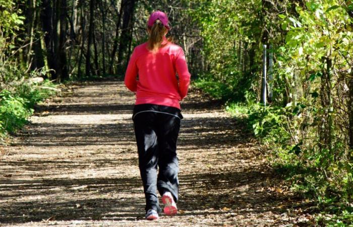 Le suspect mis en examen avait été sorti de psychiatrie la veille