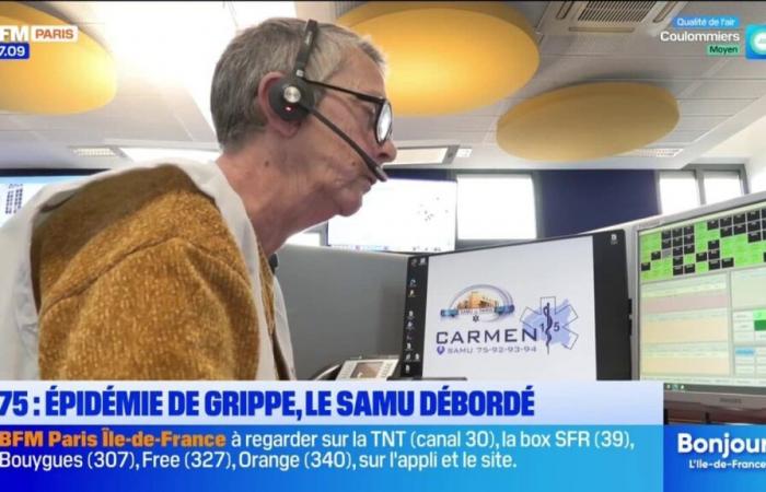 Épidémie de grippe, le Samu débordé