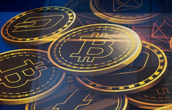 Bitcoin modère son rythme, mais reste à un prix stratosphérique