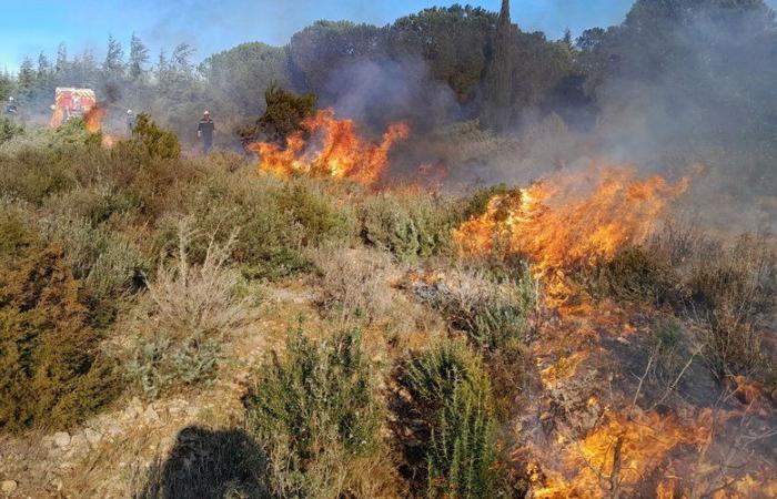 “Evitez d’appeler le 18 ou le 112”, une opération d’incendie contrôlé aura lieu ce mardi dans une commune de l’Aude