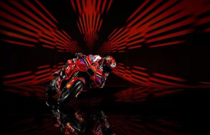 la dream team Ducati Bagnaia/Marquez en photos