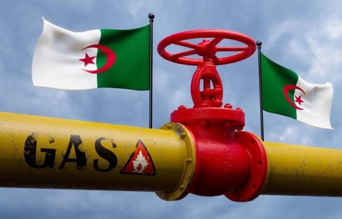 L’Algérie envoie 5 200 T de gaz vers ce pays voisin