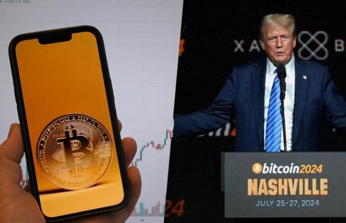 comment Donald Trump électrise le marché des cryptos… et expose les investisseurs