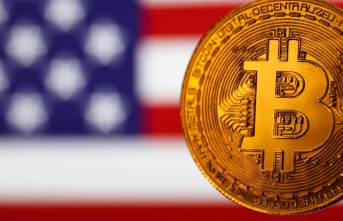 Bitcoin atteint un nouveau record au-dessus de 109 000 $ alors que les traders applaudissent l’inauguration de Trump et les pièces meme