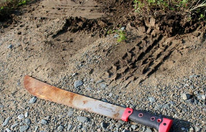 Un homme de 50 ans attire sa femme dans des buissons et la tue à coups de machette