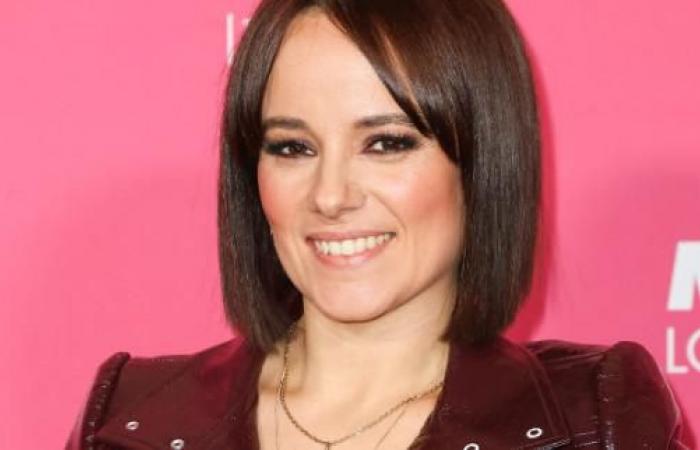 Refusée par Alizée, cette chanson est devenue un hit grâce à un autre artiste français !