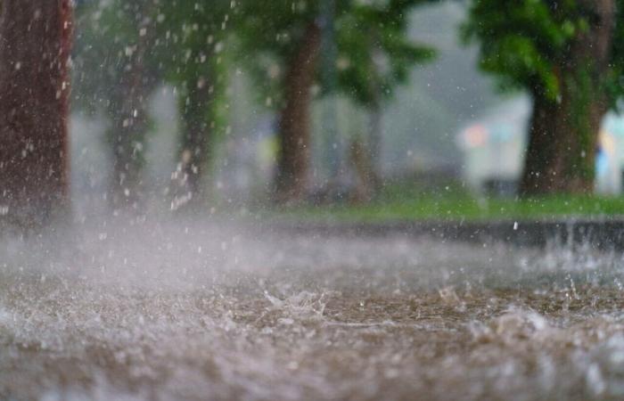 Pluie soutenue, froid persistant… à quel temps peut-on s’attendre cette semaine en Essonne ?