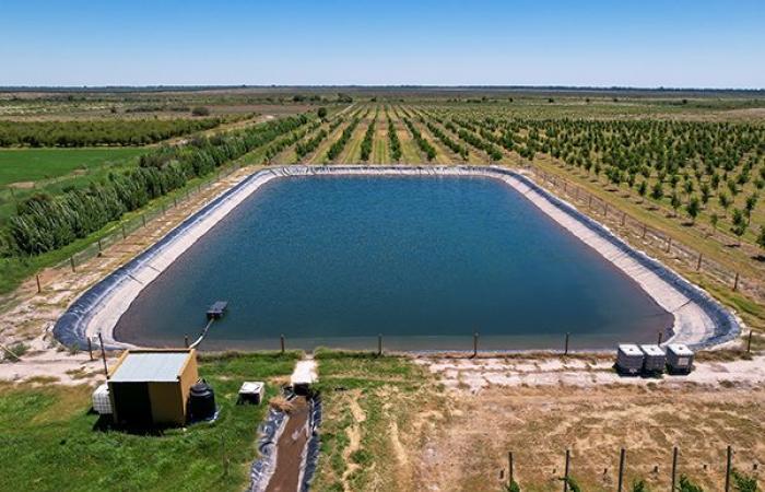 France Stratégie attend un fort développement de l’irrigation