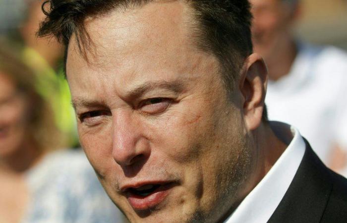 Elon Musk, un « deuxième président » au risque d’une « guerre des égos » ?