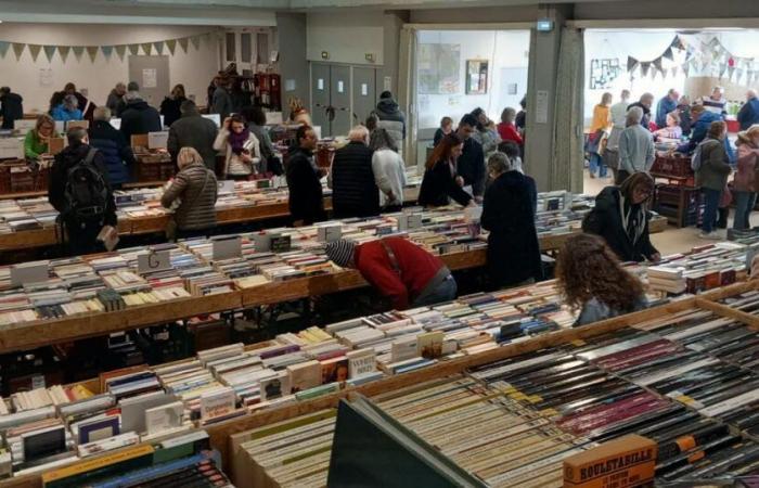 Millery. BD, mangas, romans… C’est reparti pour le 17ème salon du livre