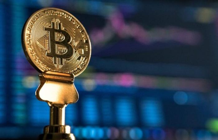 Bitcoin bat un nouveau record avant l’investiture de Donald Trump