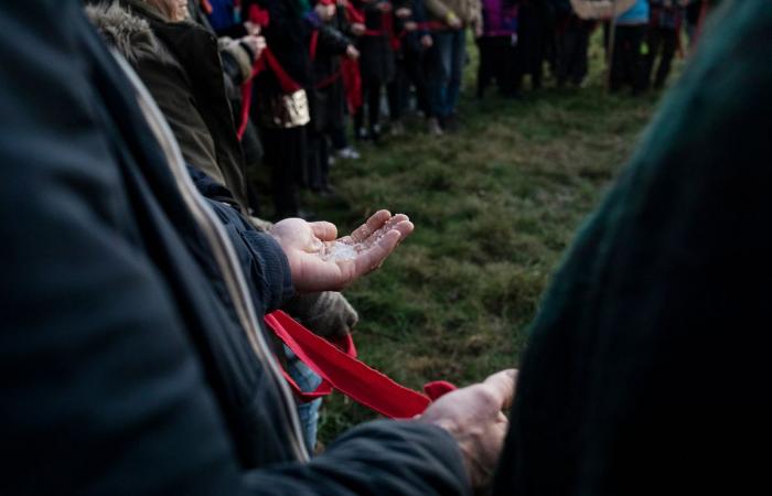 7 ans après, Notre-Dame-des-Landes fête toujours la victoire